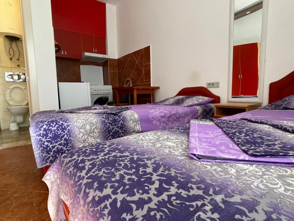 Apartment Zevs